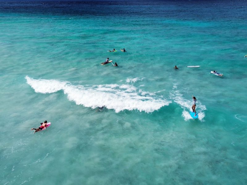 Barbados surf lessons / guide/ camps