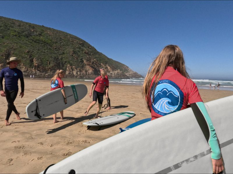 Vibe Surf School