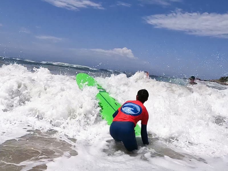 Vibe Surf School