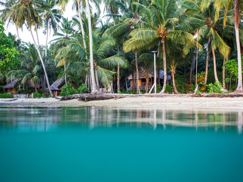 Surf in Paradise: Unforgettable surf trip to the Mentawai Islands!