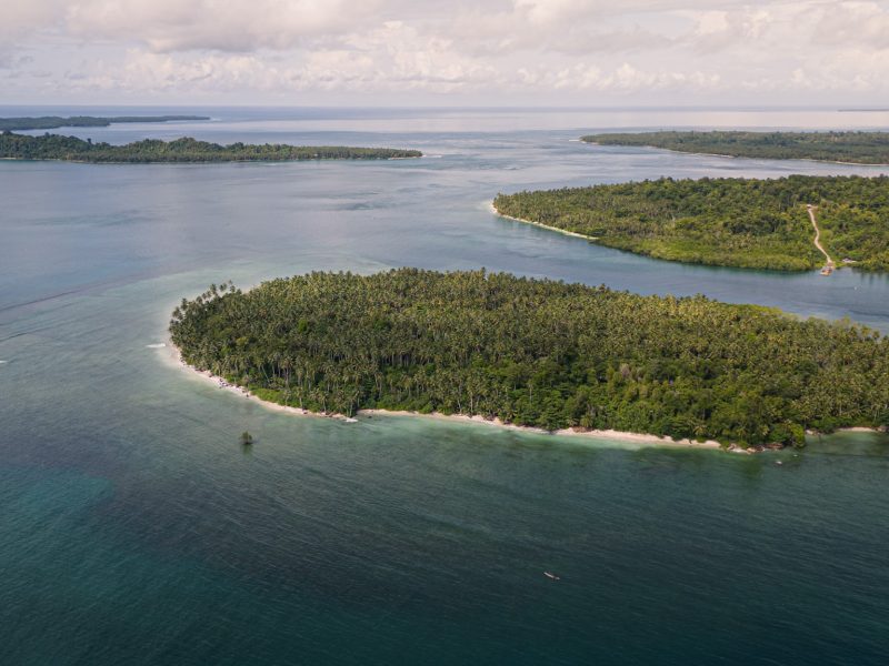 Surf in Paradise: Unforgettable surf trip to the Mentawai Islands!