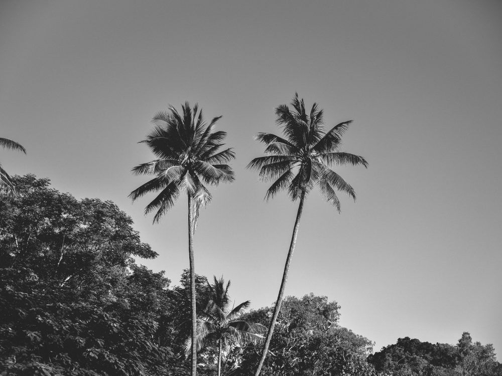 Surf Community Mirissa
