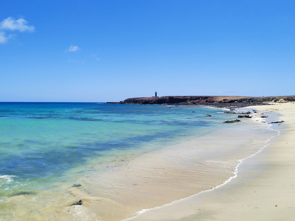 Surf Coaching Corralejo