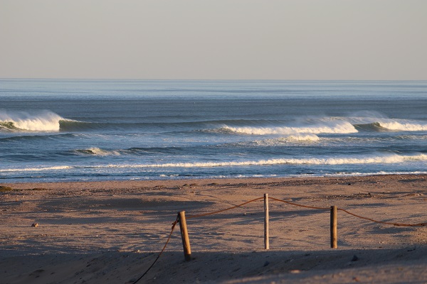 Salty Jackal Surf Camp