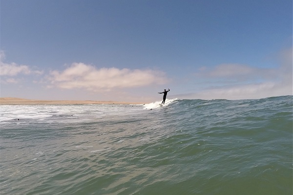 Salty Jackal Surf Camp
